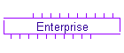 Enterprise